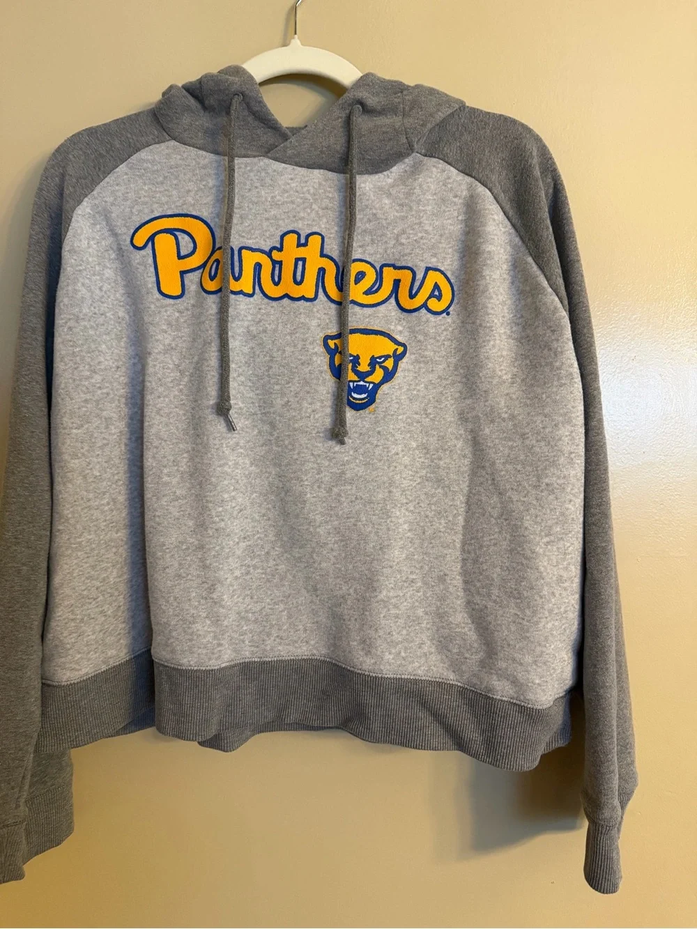 Champion Gray and Yellow Pitt Panthers Hoodie - Picture 1 of 4